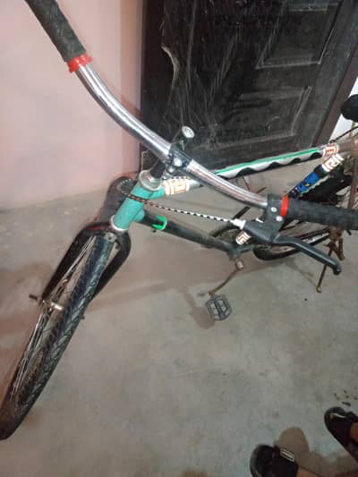 Phoenix cycle