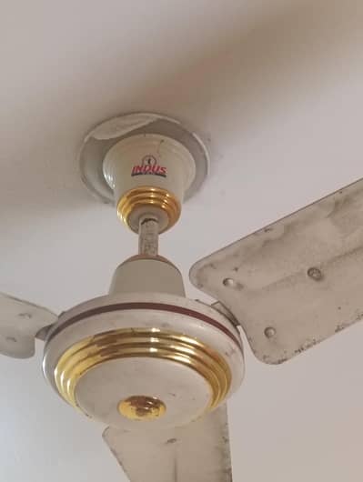 Indus Celling Fan ' 03015918144