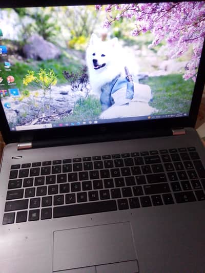 HP 250 G6 Laptop | Core i5 7th Gen | 8GB RAM | 256GB SSD | Windows