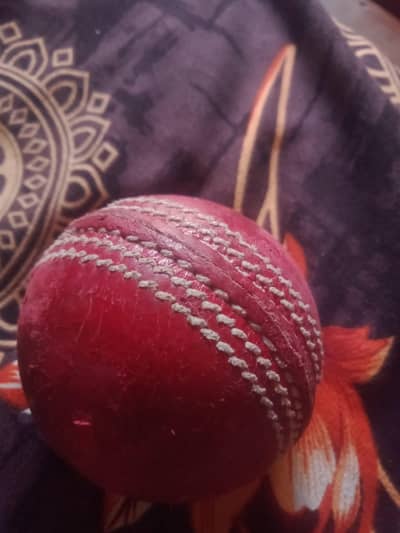 cricket coch