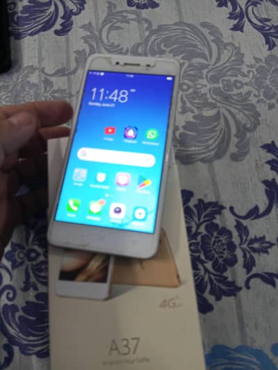 Tecno A37 10by10