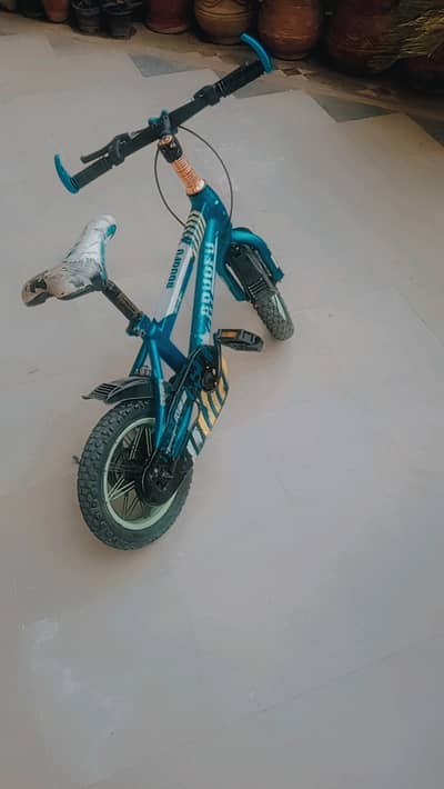 Sports Bicycle