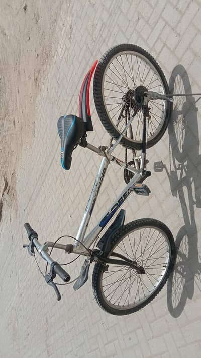 Sharp & Cool Speed Cycle