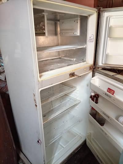 Dawlance Full Size Refrigerator for sale | Condition 10/9