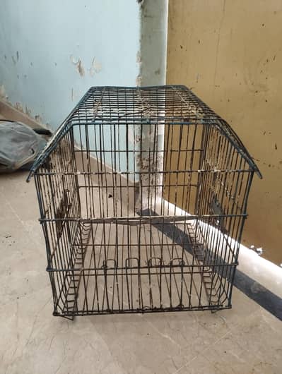 birds cage