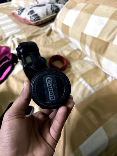 Canon STM 50mm 1.4