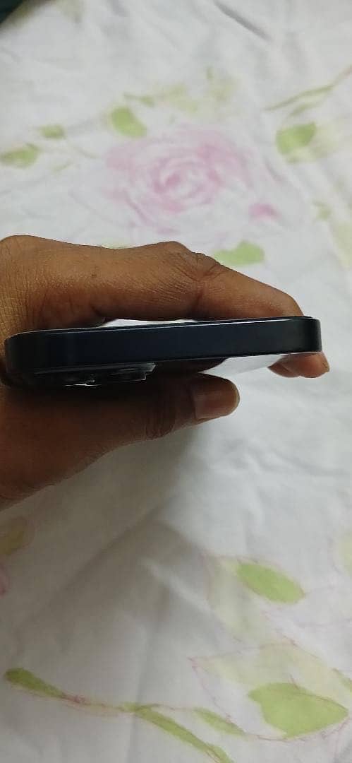Apple iPhone 13 0