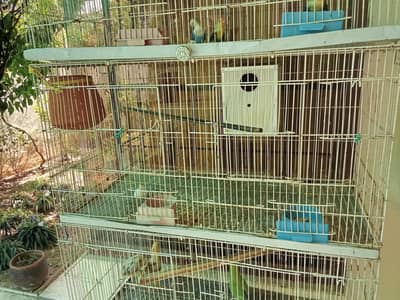 Folding Cage with Partition size 2.5/1.5