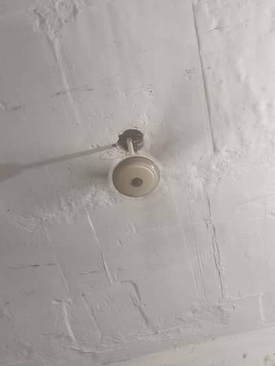 celling fan