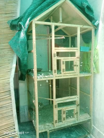 cage for parrots