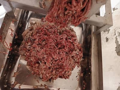 dog food