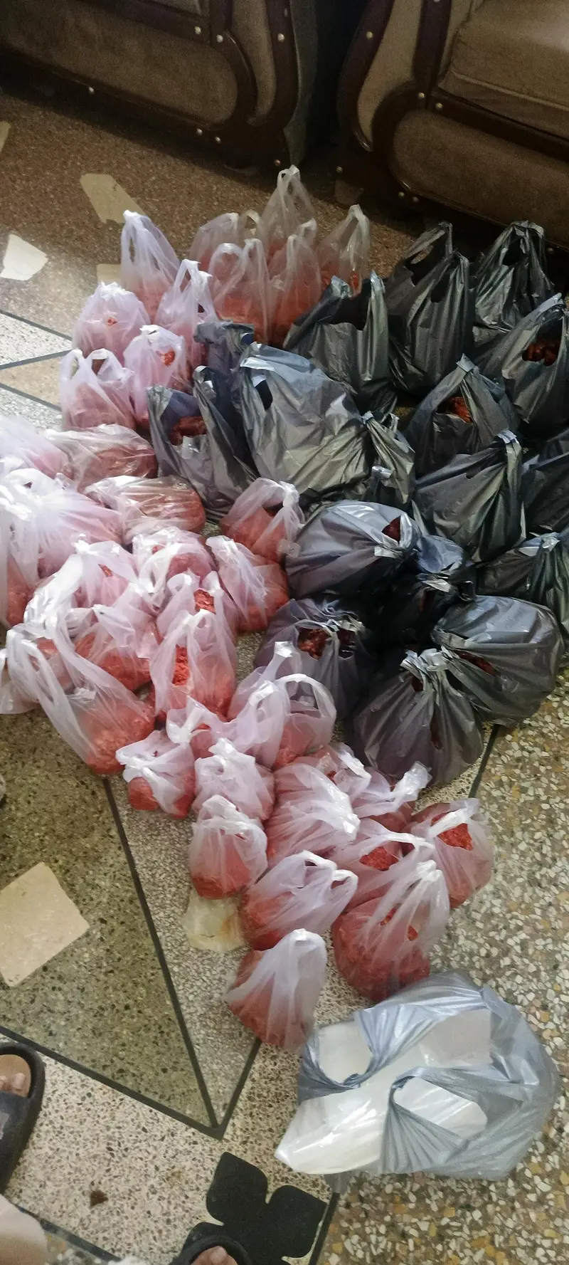 dog food — photo 2