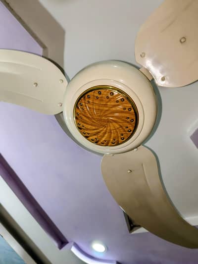 GFC Celling Fan