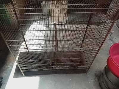 birds cage