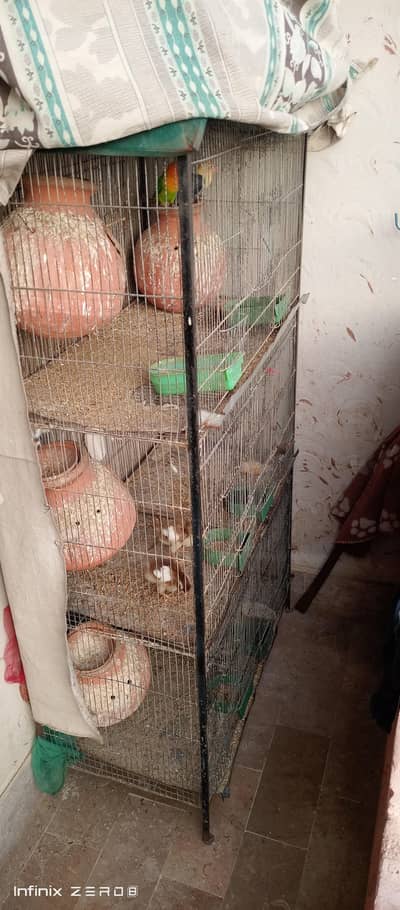 Heavy Cage 3 portion urgent sale