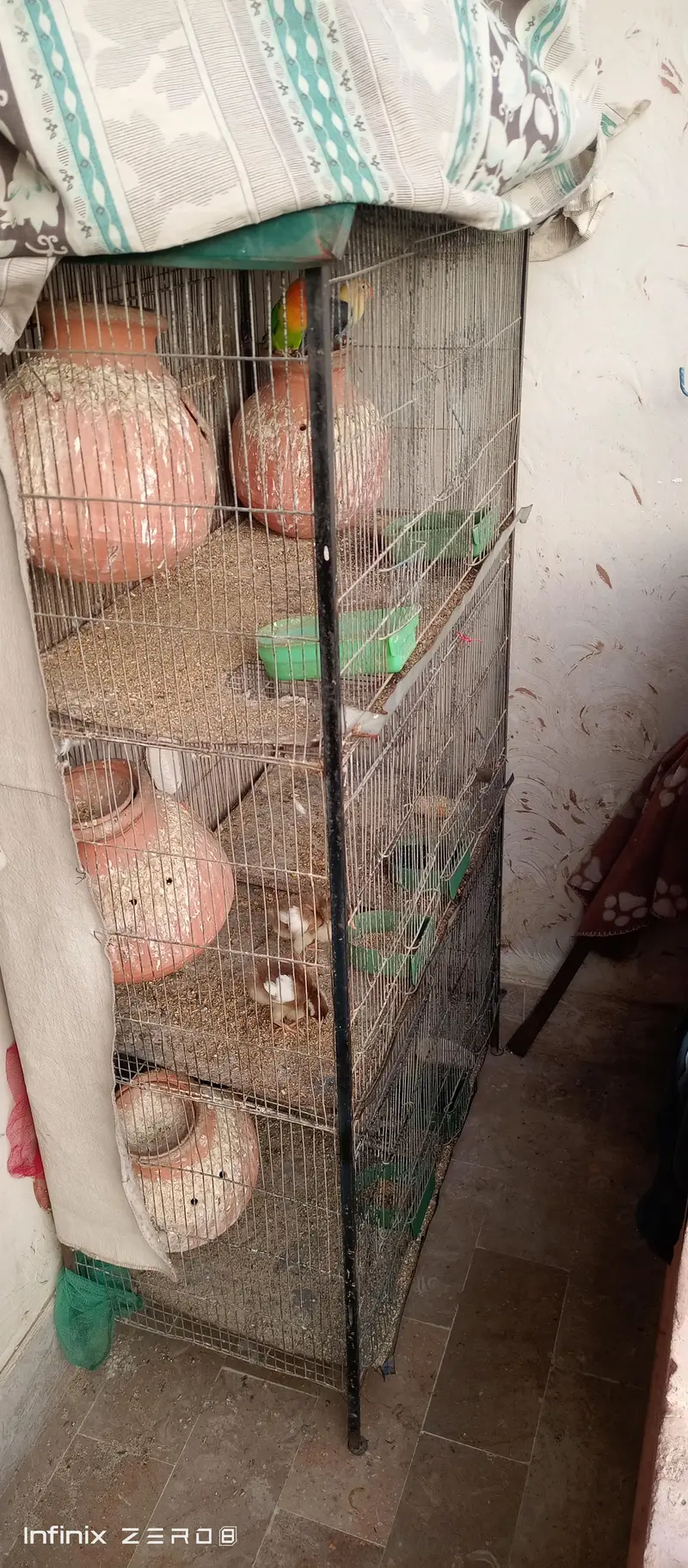 Heavy Cage 3 portion urgent sale