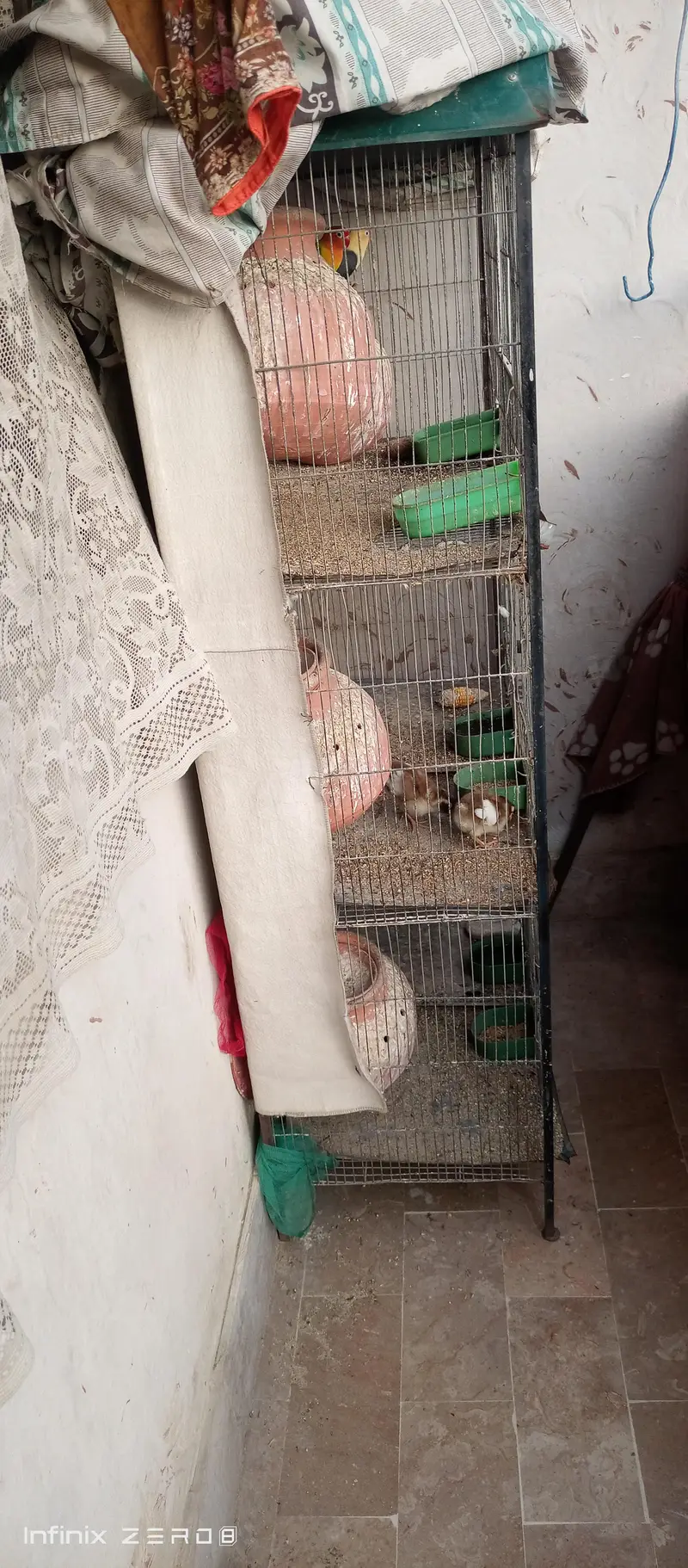 Heavy Cage 3 portion urgent sale — photo 2