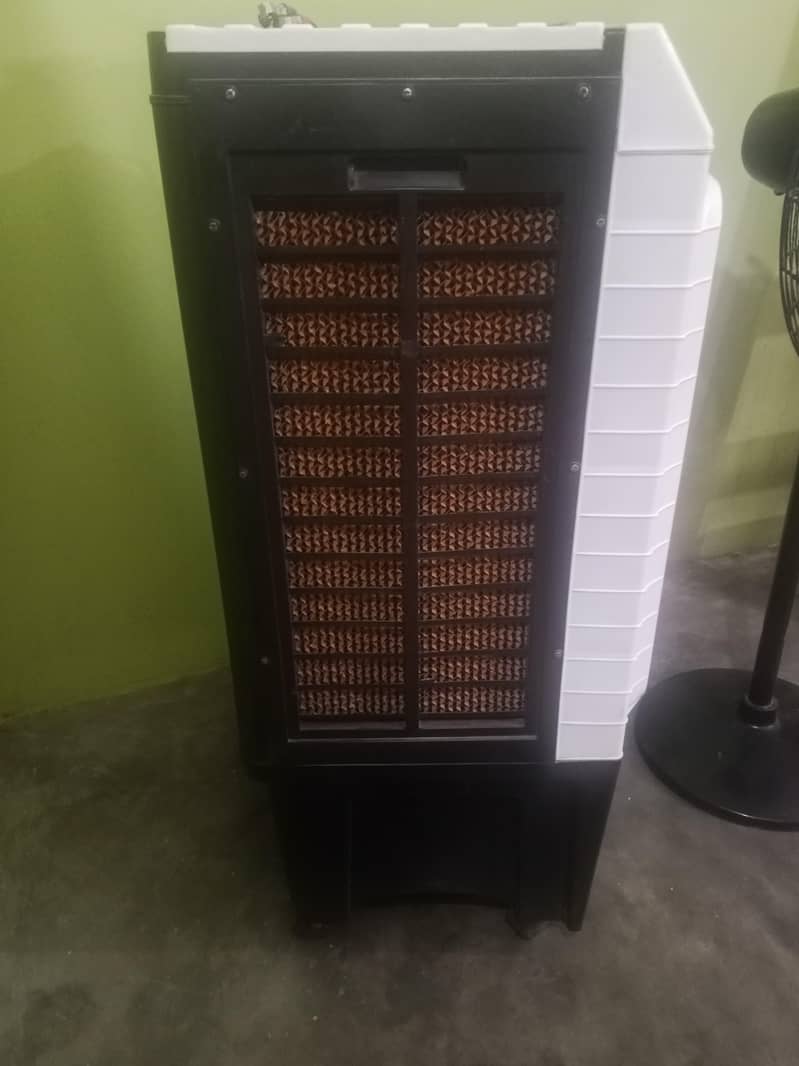 condition 10/10 0