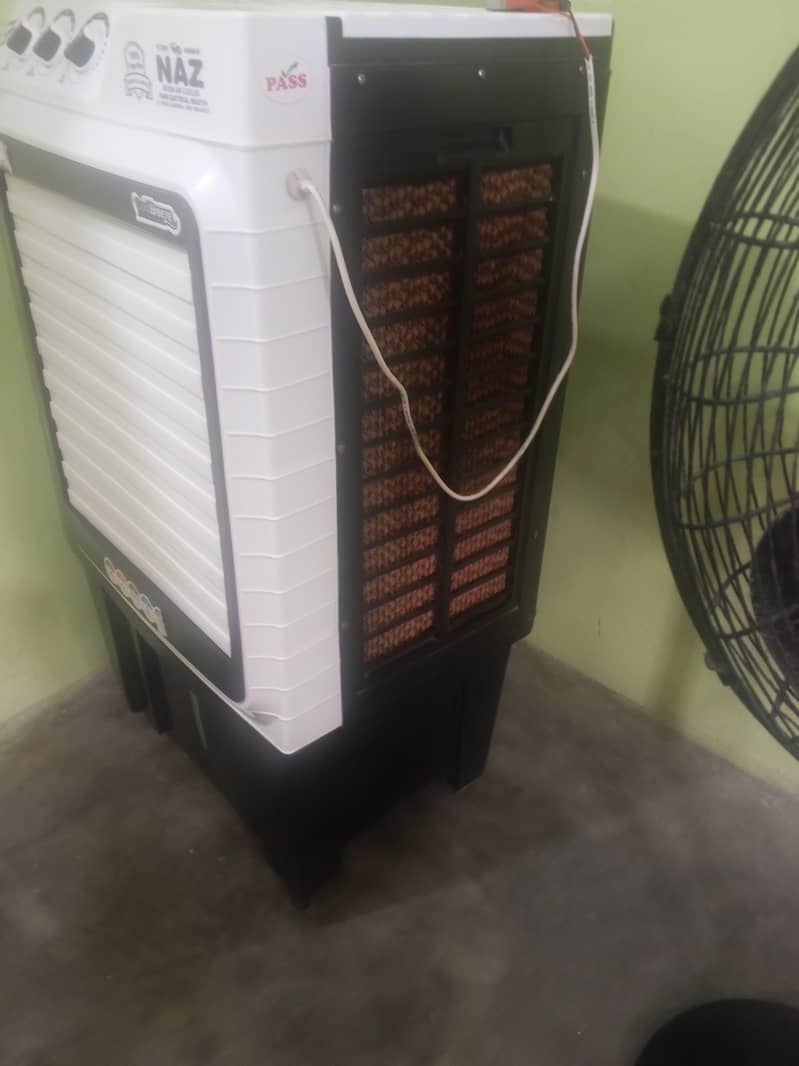 condition 10/10 2
