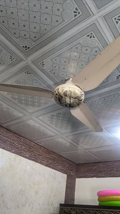 Ceiling fan,good condition 10/10