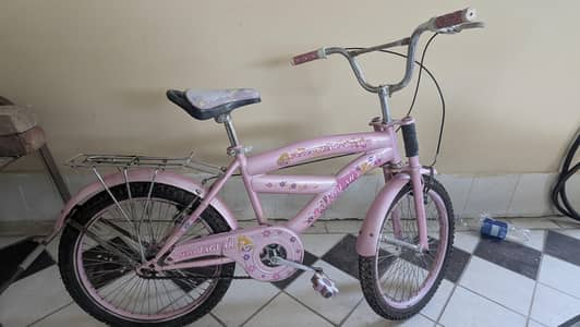 beautiful imported cycle 20 inches