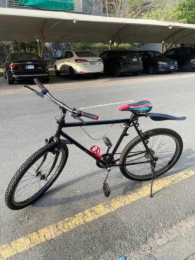 Single-Speed All-Purpose Kids Bicycle