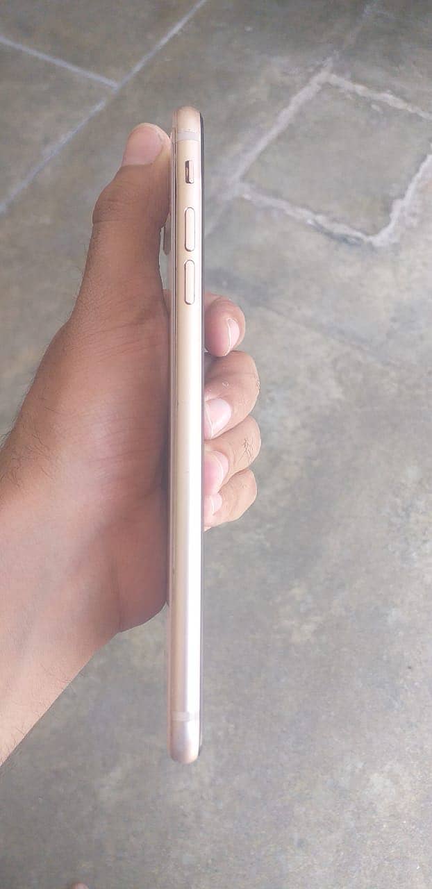 Apple iPhone 8 Plus 1