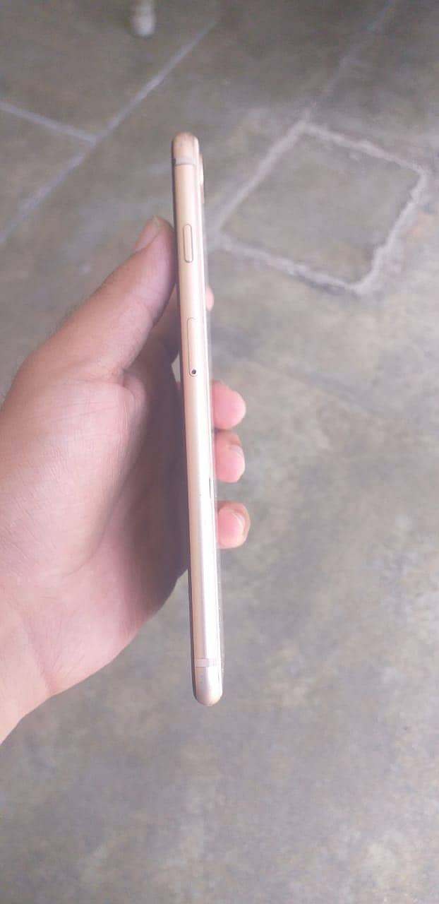 Apple iPhone 8 Plus 2