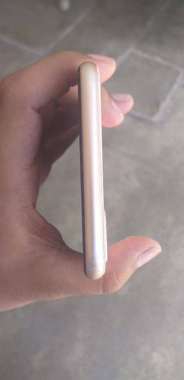 Apple iPhone 8 Plus 3