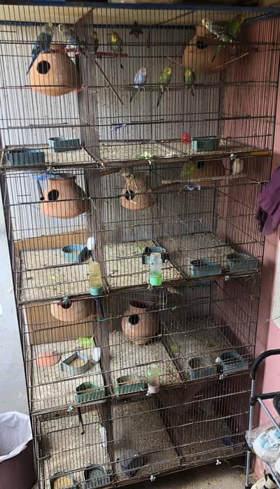 PARROTS BIG CAGE FOR SALE