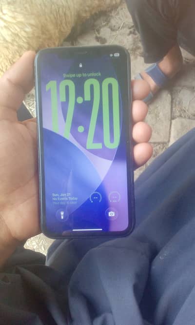 Apple iPhone 11