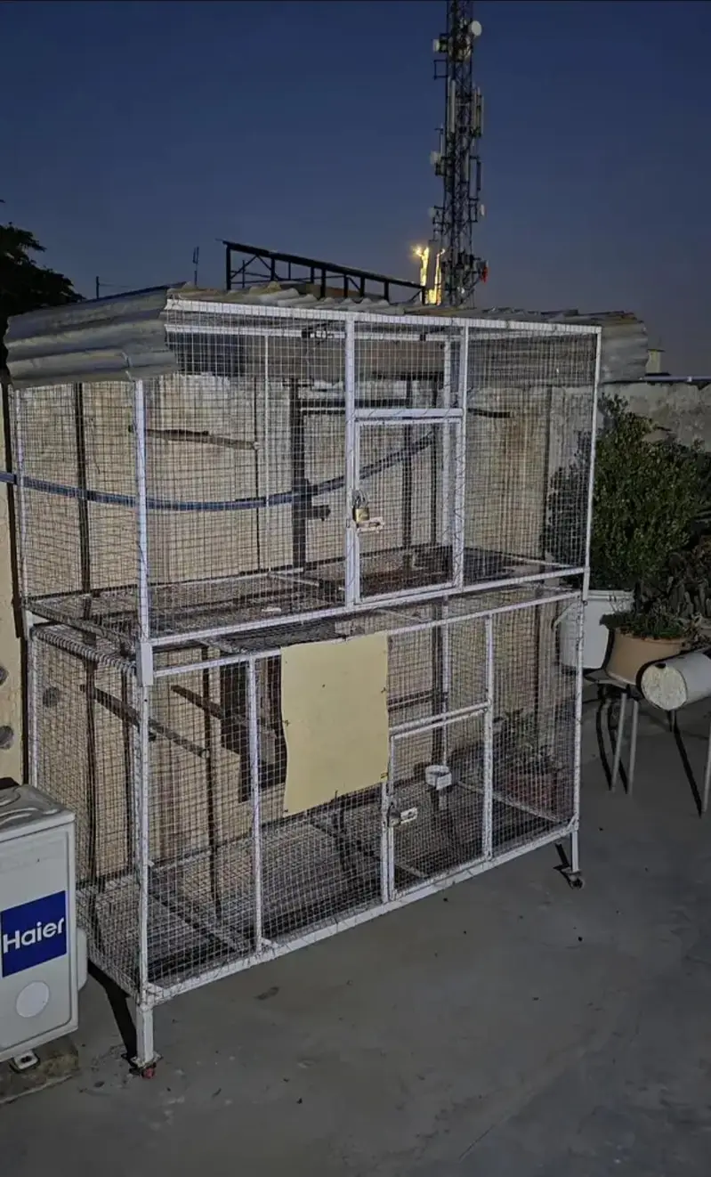 iron cages