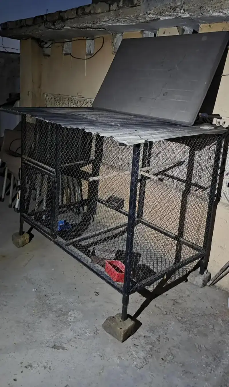 iron cages — photo 2