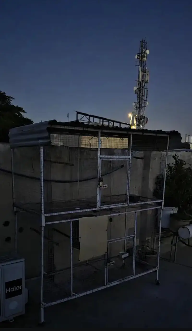 iron cages — photo 3