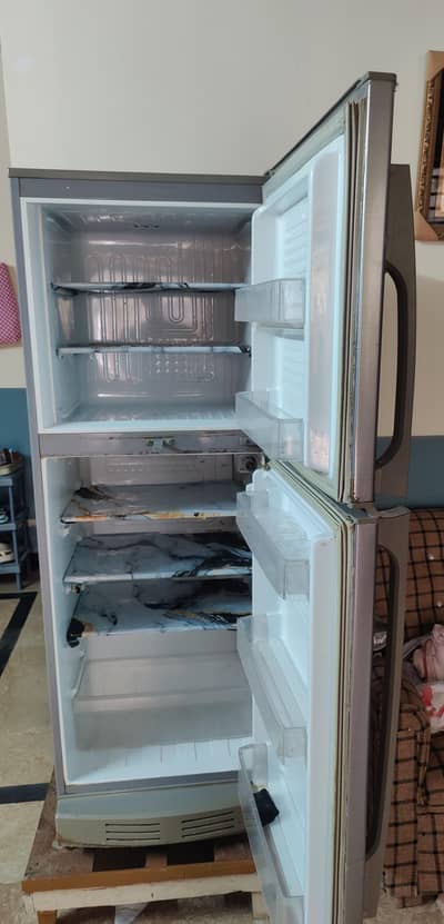 PEL Arctic Double Door Refrigerator for Sale