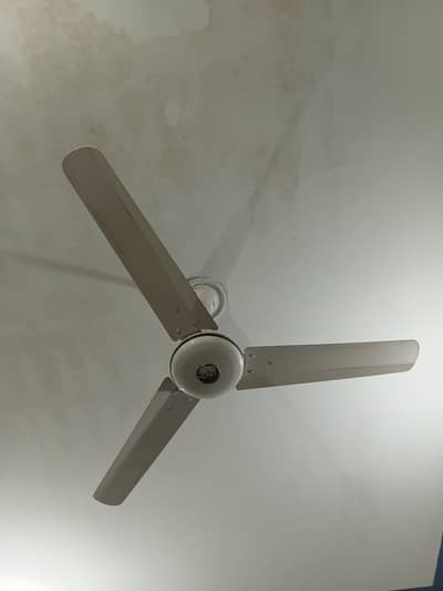 Pak Ceiling Fan Deluxe Model 56 inch