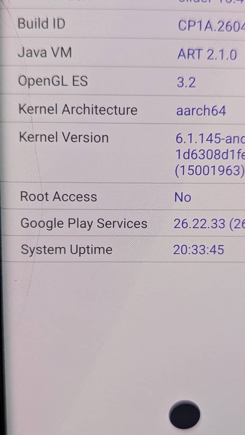 Google Pixel 6 Pro 3
