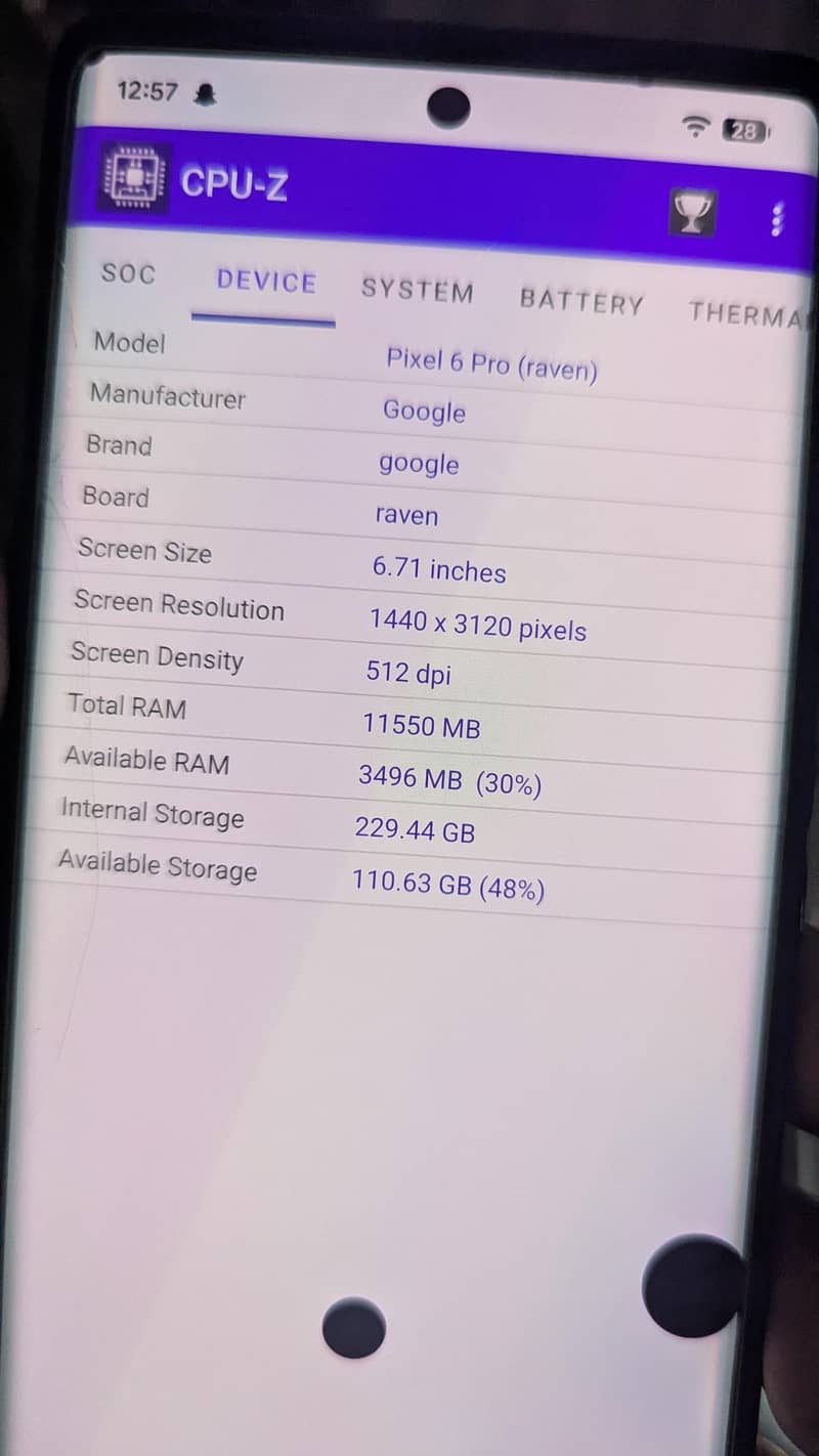 Google Pixel 6 Pro 5