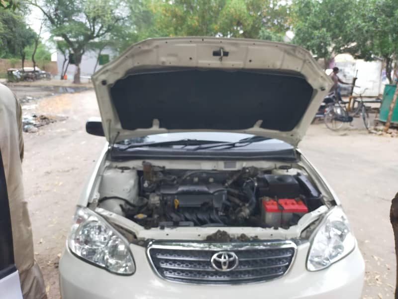 corolla xli 13