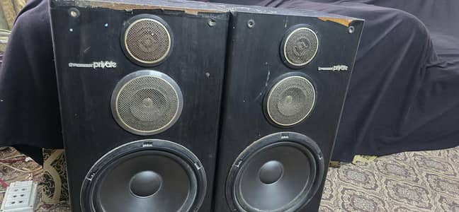 pioneer 10 inch speaker for sales