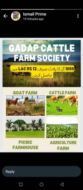 CATTLE FARM LAND