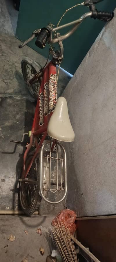 Cycle for kids (83187625097 w. p nmbr)