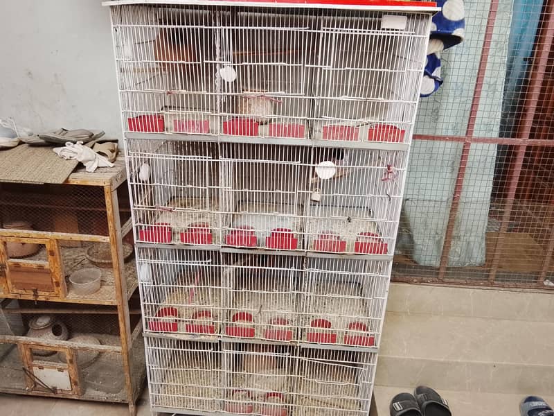 Cages 0