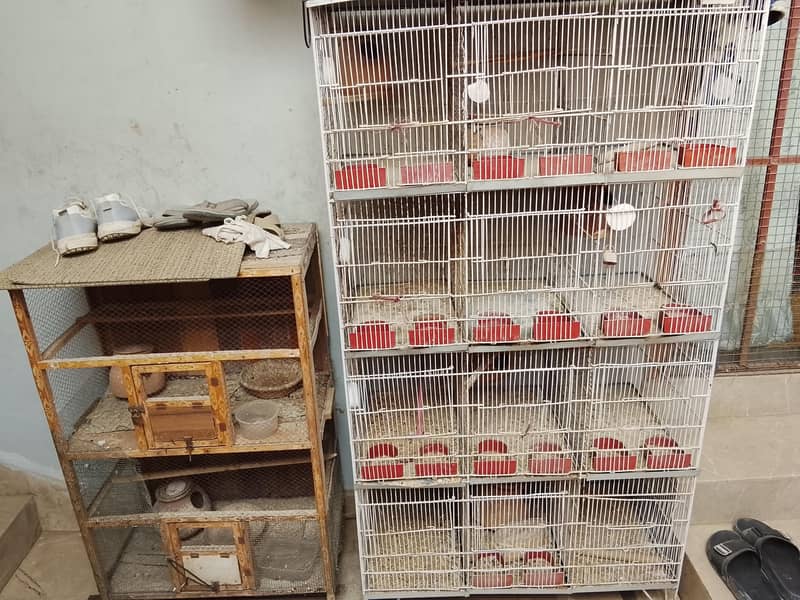 Cages 1