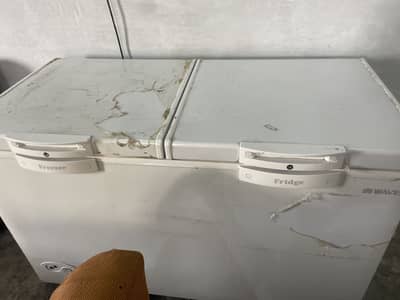 Waves double door deep freezer/fridge