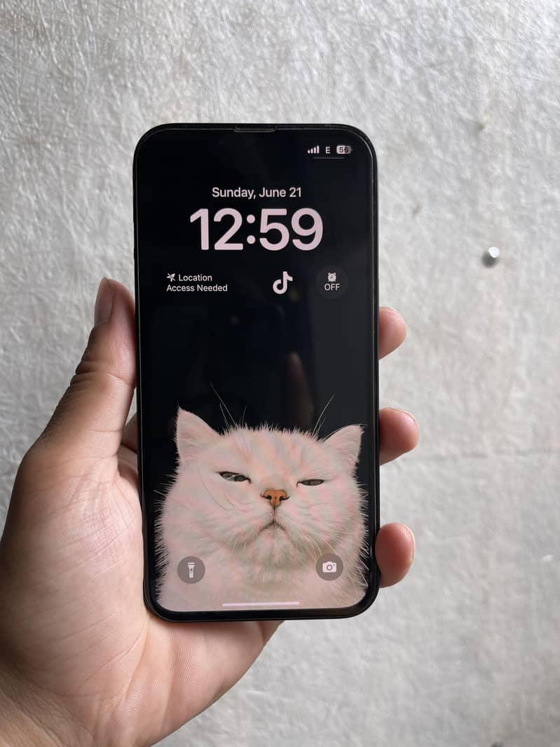Apple iPhone 13 3