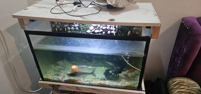 Fish Aquarium for sale