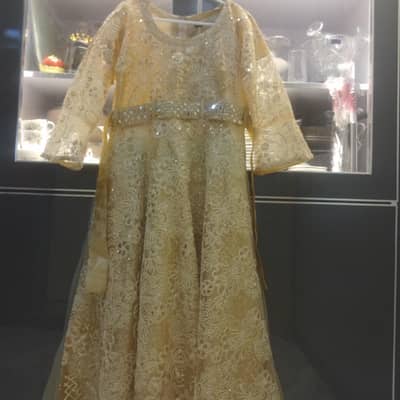 Embroidered net long maxi