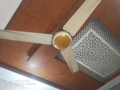 Indus Ceiling Fan Grace Model 100% Copper