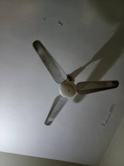 Sk Fan